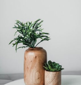 Vegetación de madera